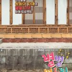 دانلود سریال کره ای خواهر خوانده ها Sisters in Law 2017