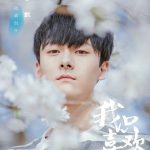 دانلود سریال چینی عشق در نگاه اول Le Coup de Foudre