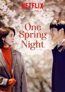 سریال کره ای یک شب بهاری One Spring Night 2019