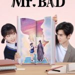 دانلود سریال چینی آقای بد Mr. Bad 2022
